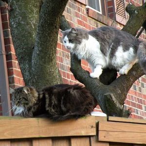 Meet your Posher, Deb